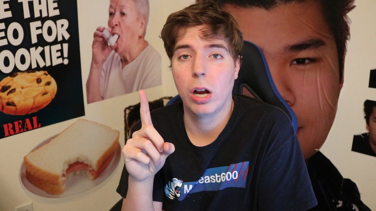 MrBeast, I Counted To 100,000!